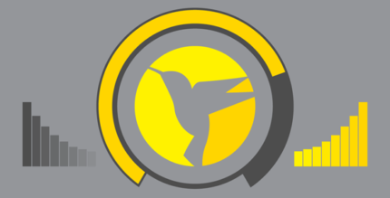 Hummingbird