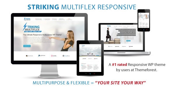 Impressionante – MultiFlex & Ecommerce Responsive WP Theme_64441fa3b92cc.jpeg