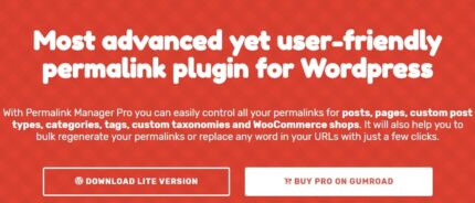 Permalink Manager Pro – Best Wordpress Permalink Plugins