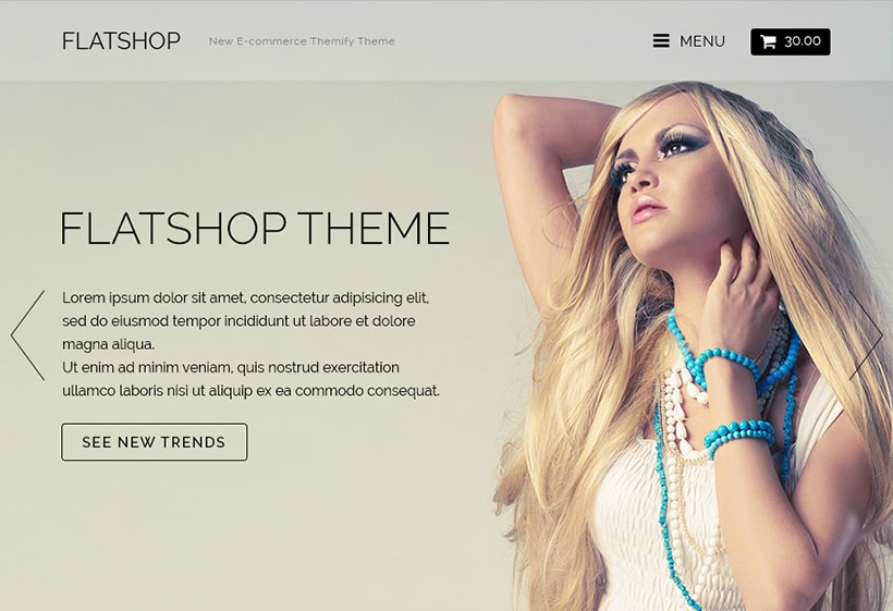 Themify Flatshop WordPress Theme_64445f08e6789.jpeg