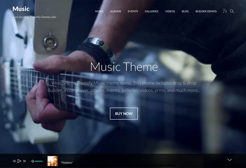 Themify Music WordPress Theme_64445f6554d9e.jpeg