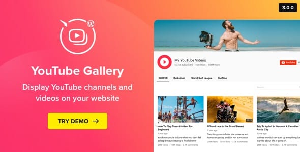 YouTube Plugin – WordPress YouTube Gallery_64447e79459a4.jpeg